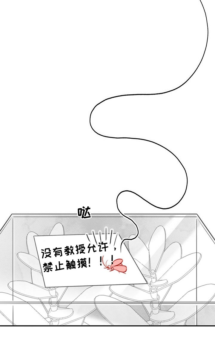 《身体效应》漫画最新章节第59章：教授免费下拉式在线观看章节第【1】张图片