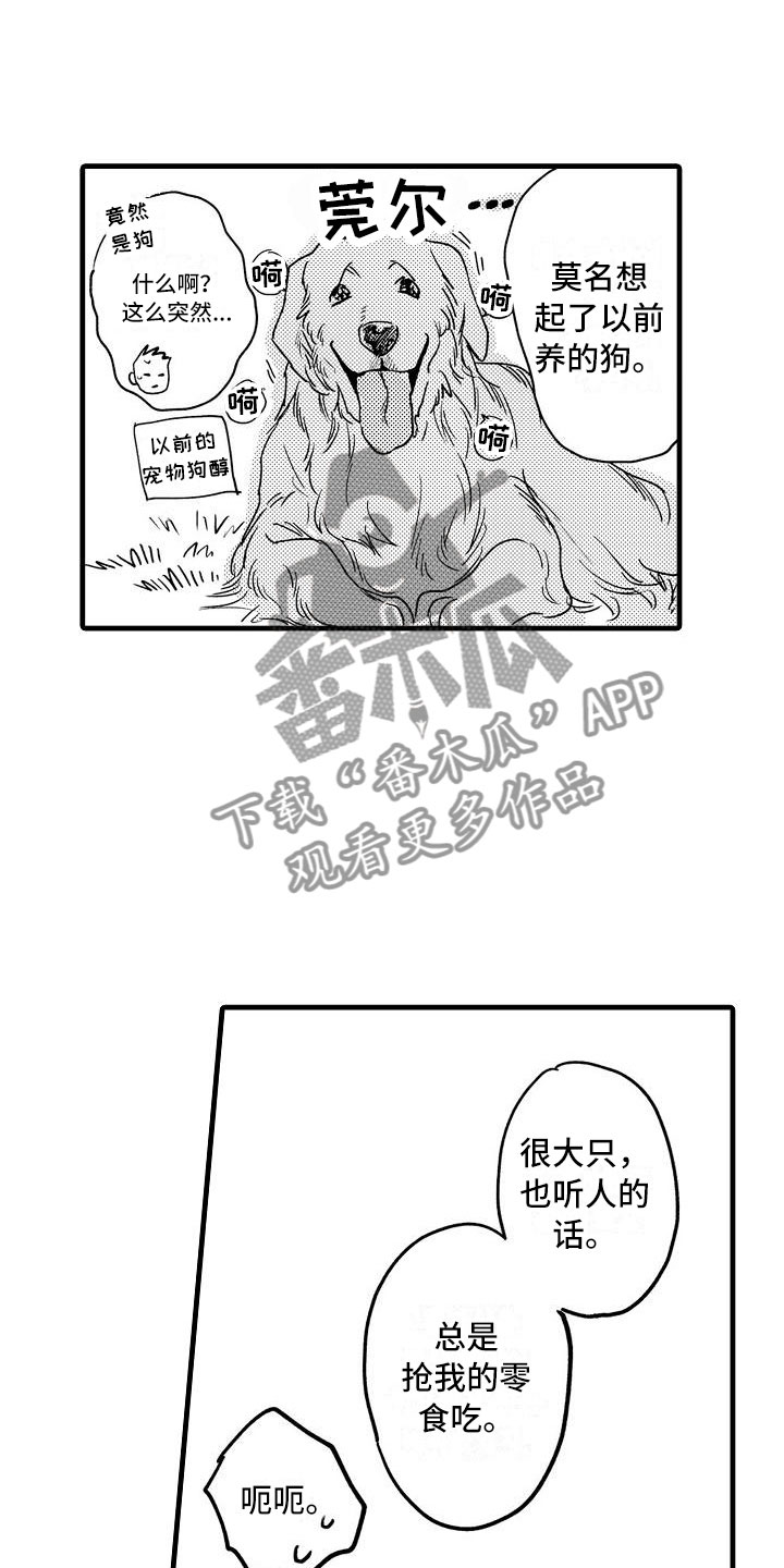 《相亲面对面》漫画最新章节第10章：哪个位置免费下拉式在线观看章节第【5】张图片