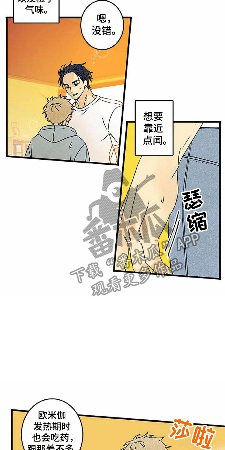 《易感期大作战》漫画最新章节第6章：橙子香味免费下拉式在线观看章节第【12】张图片