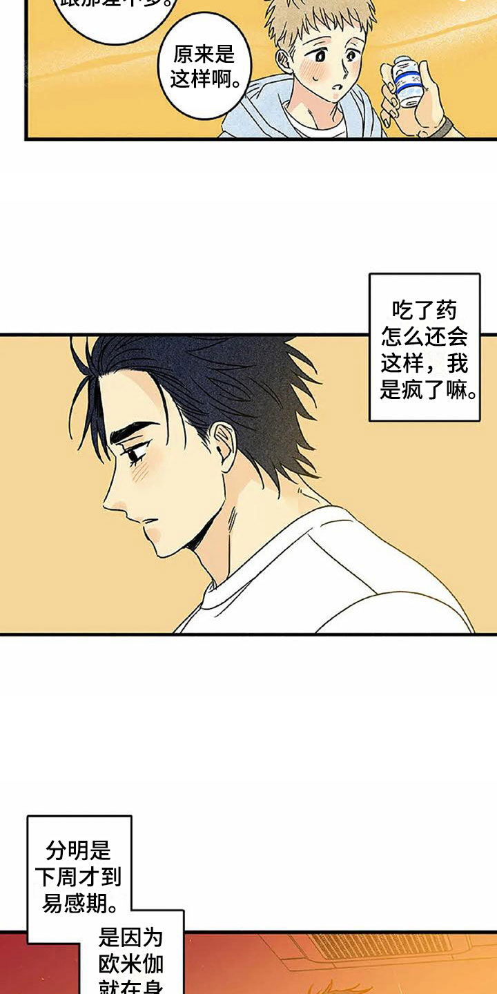 《易感期大作战》漫画最新章节第6章：橙子香味免费下拉式在线观看章节第【11】张图片