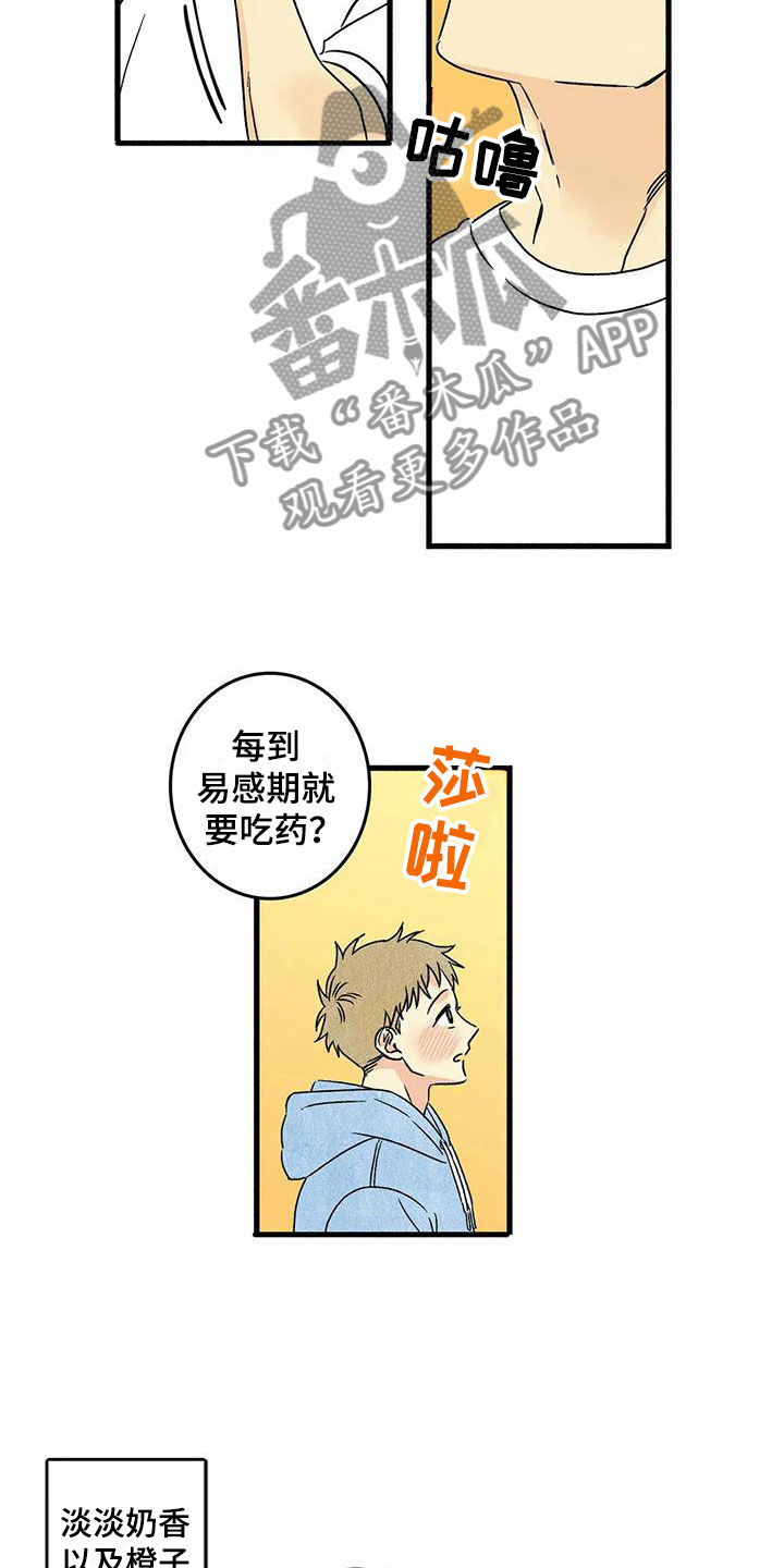 《易感期大作战》漫画最新章节第6章：橙子香味免费下拉式在线观看章节第【13】张图片