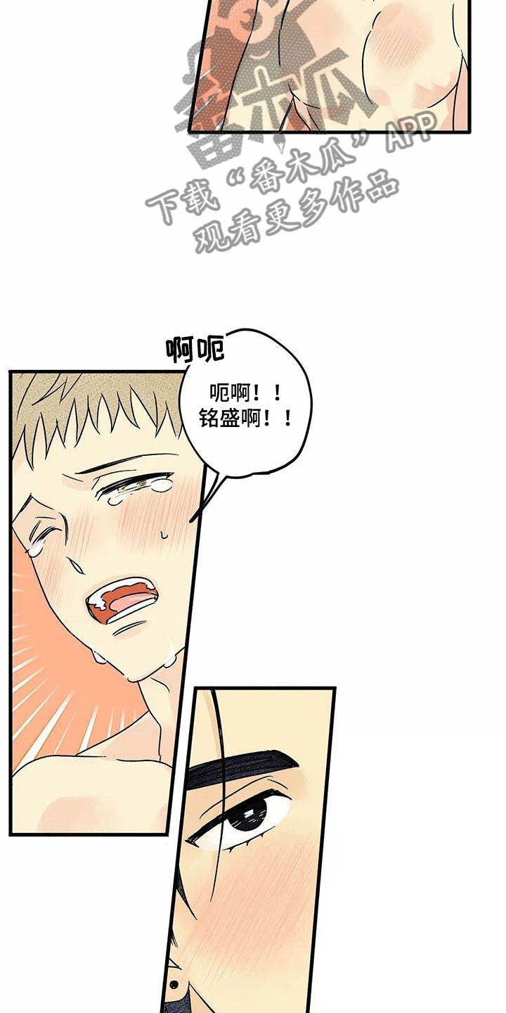 《易感期大作战》漫画最新章节第8章：睡一会吧免费下拉式在线观看章节第【15】张图片