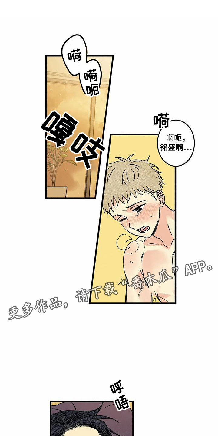 《易感期大作战》漫画最新章节第8章：睡一会吧免费下拉式在线观看章节第【19】张图片