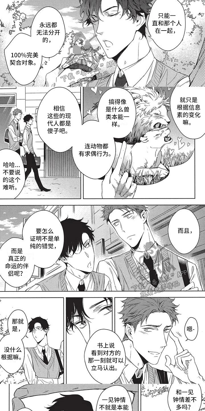 《命定的他》漫画最新章节第10章：好消息免费下拉式在线观看章节第【6】张图片