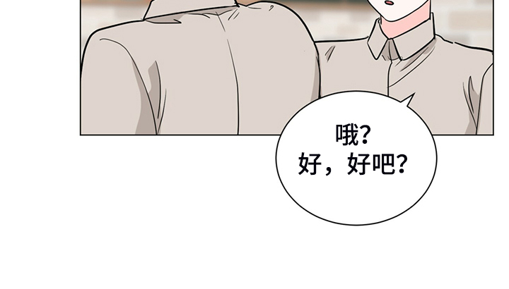 《过度寄居》漫画最新章节第64章：你们自行解决免费下拉式在线观看章节第【12】张图片