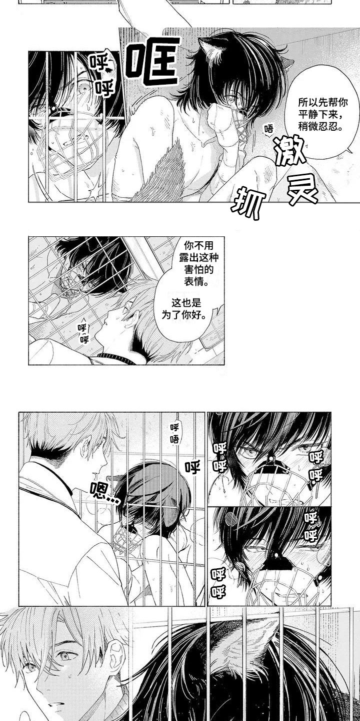 《服从吧狼少年》漫画最新章节第1章：可爱的狼人免费下拉式在线观看章节第【2】张图片