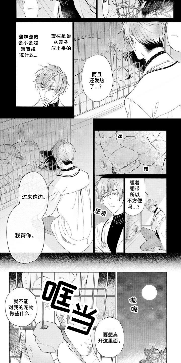 《服从吧狼少年》漫画最新章节第1章：可爱的狼人免费下拉式在线观看章节第【3】张图片