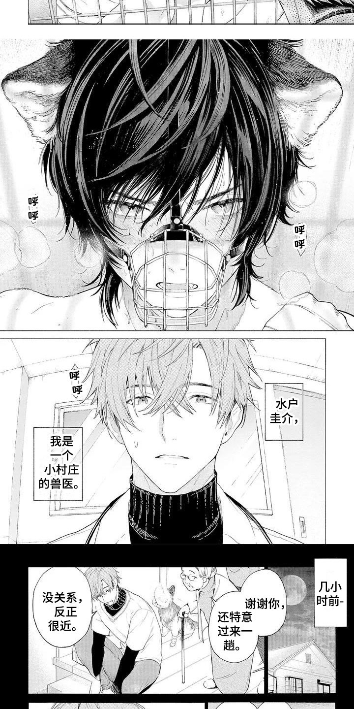 《服从吧狼少年》漫画最新章节第1章：可爱的狼人免费下拉式在线观看章节第【7】张图片