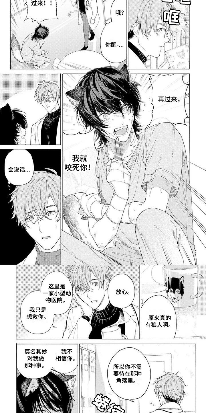 《服从吧狼少年》漫画最新章节第2章：再次光临免费下拉式在线观看章节第【7】张图片