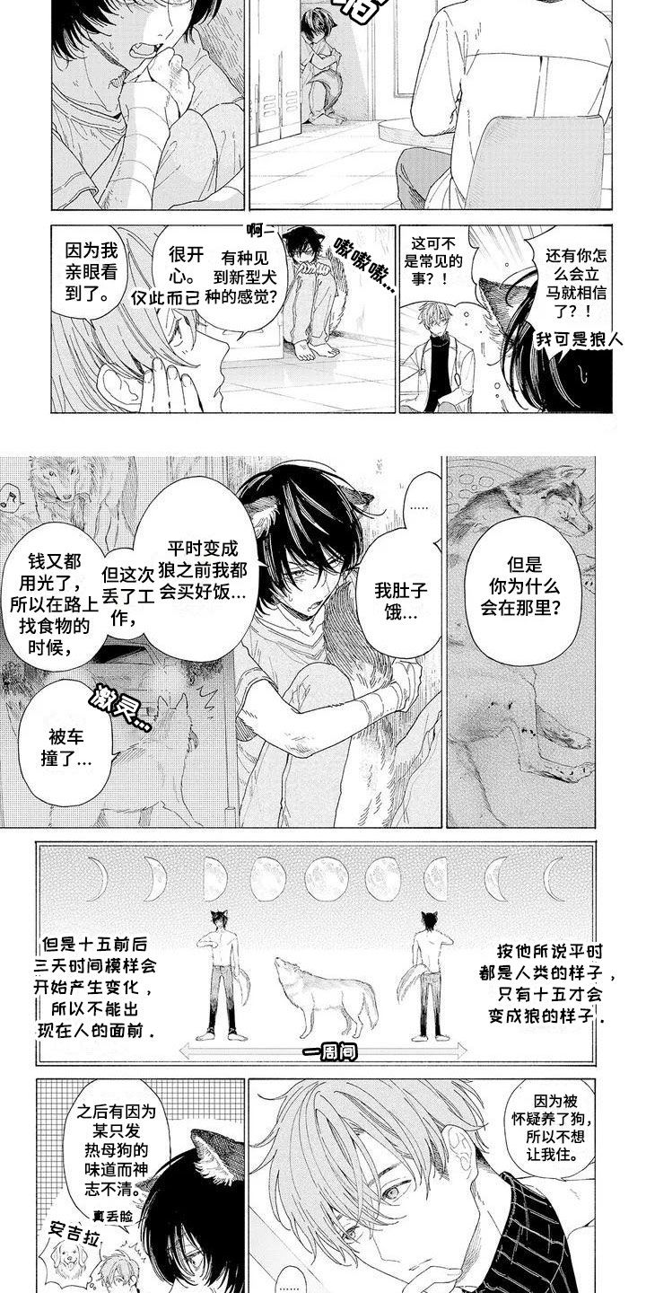 《服从吧狼少年》漫画最新章节第2章：再次光临免费下拉式在线观看章节第【6】张图片