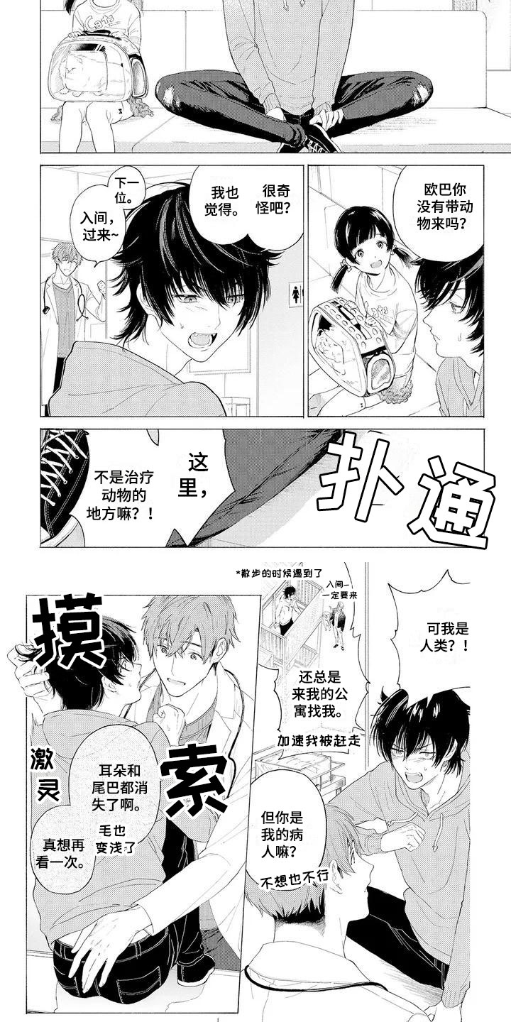 《服从吧狼少年》漫画最新章节第2章：再次光临免费下拉式在线观看章节第【2】张图片