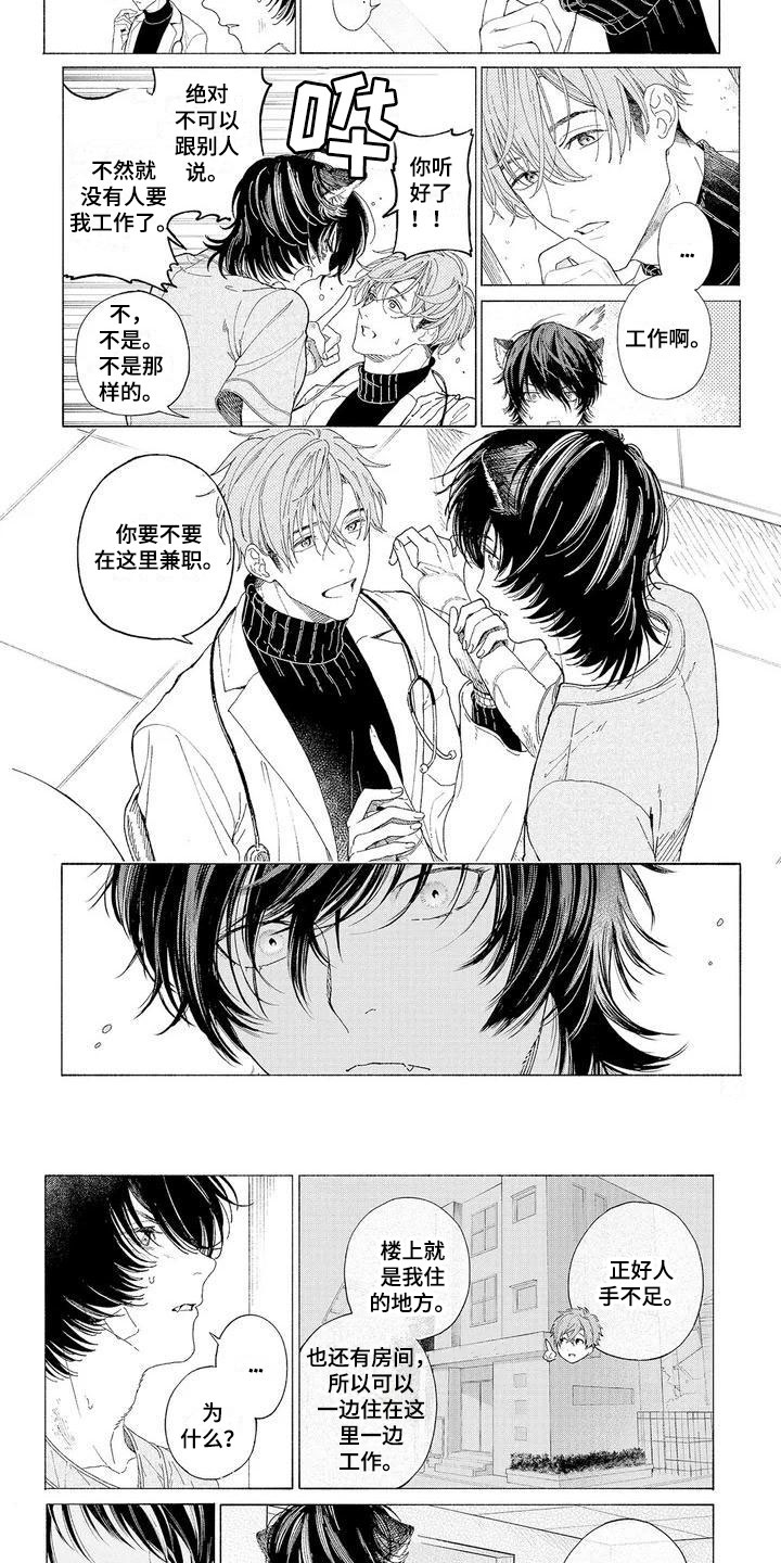 《服从吧狼少年》漫画最新章节第2章：再次光临免费下拉式在线观看章节第【5】张图片