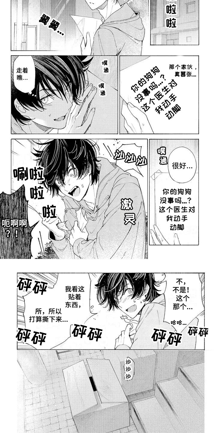 《服从吧狼少年》漫画最新章节第3章：新的工作免费下拉式在线观看章节第【6】张图片