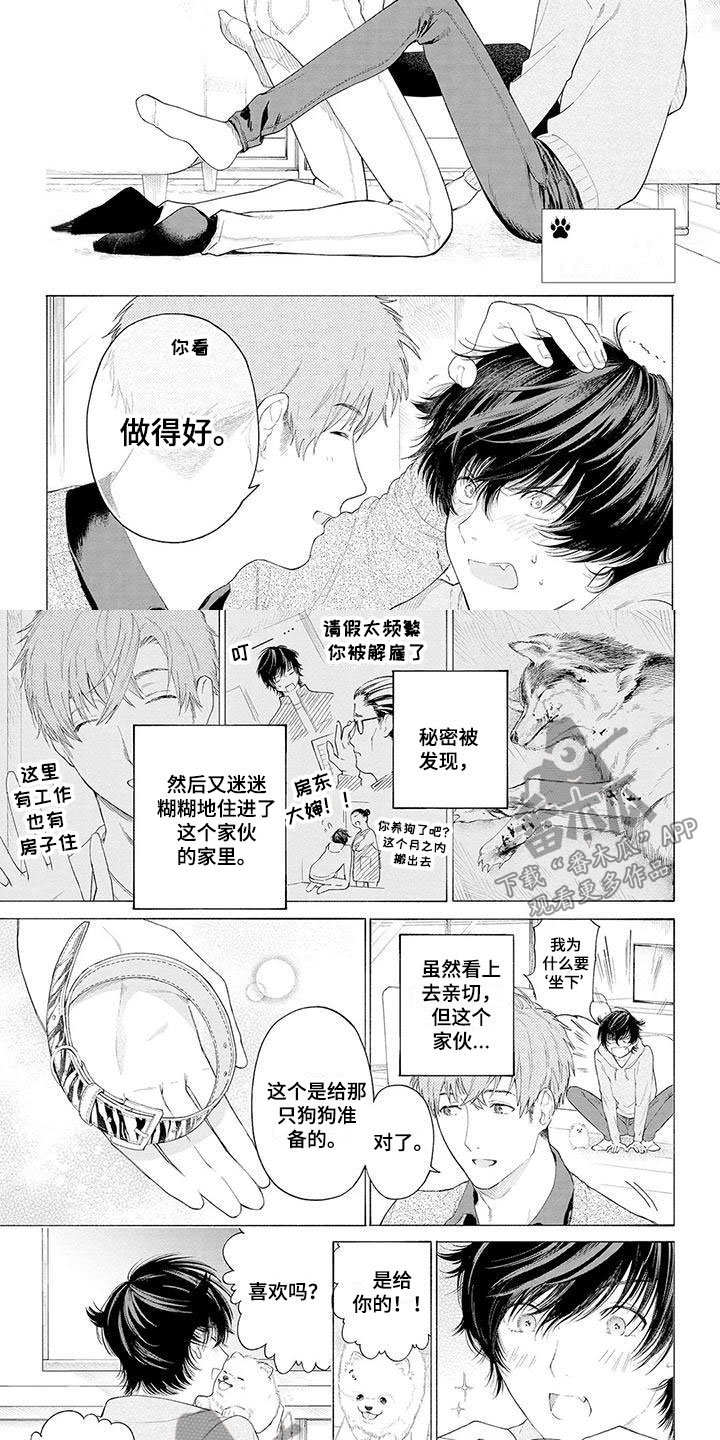 《服从吧狼少年》漫画最新章节第4章：看门犬免费下拉式在线观看章节第【6】张图片