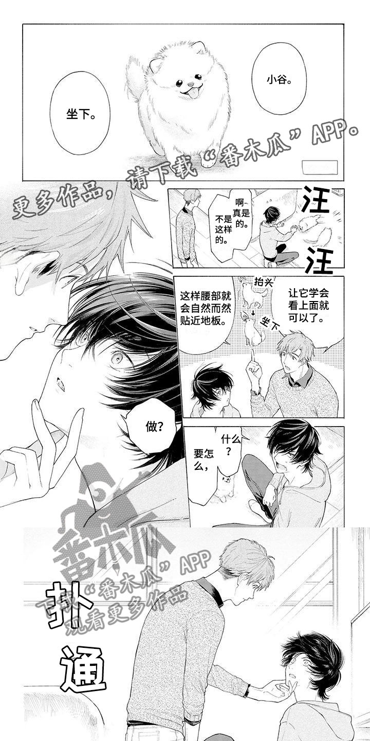 《服从吧狼少年》漫画最新章节第4章：看门犬免费下拉式在线观看章节第【7】张图片