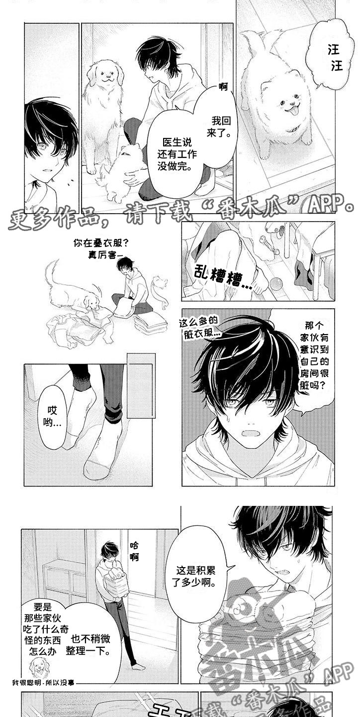 《服从吧狼少年》漫画最新章节第5章：过来免费下拉式在线观看章节第【7】张图片