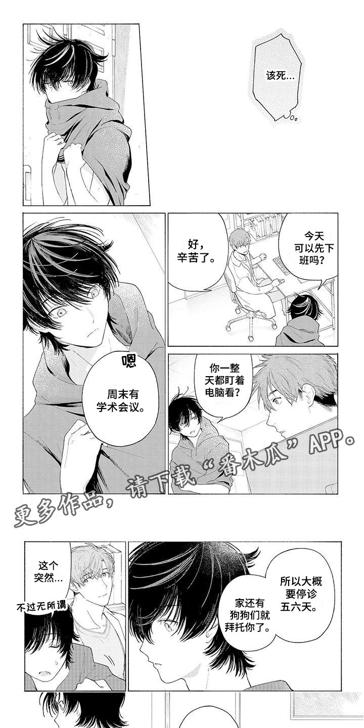 《服从吧狼少年》漫画最新章节第6章：坐下免费下拉式在线观看章节第【8】张图片