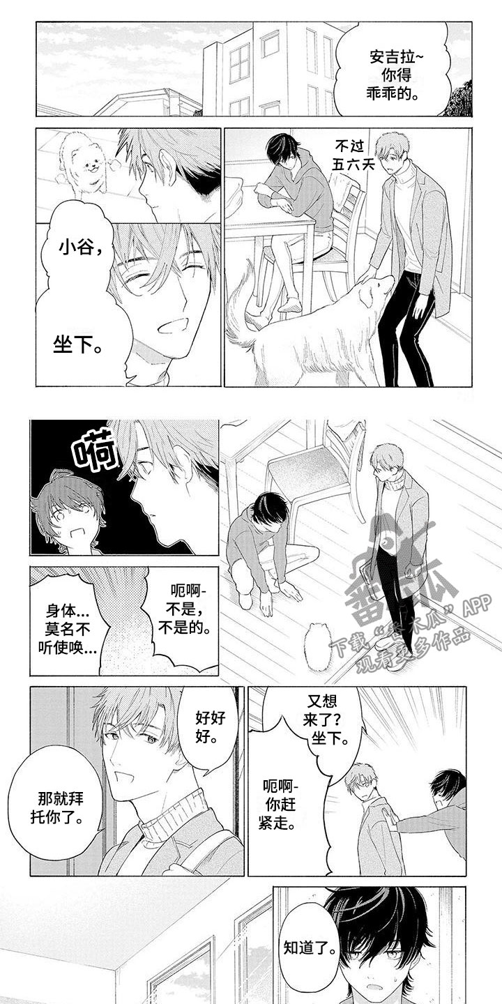 《服从吧狼少年》漫画最新章节第6章：坐下免费下拉式在线观看章节第【2】张图片