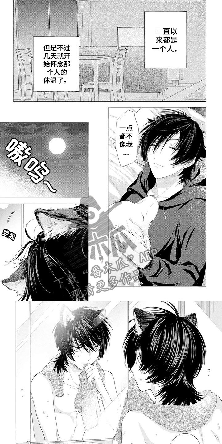 《服从吧狼少年》漫画最新章节第7章：孤单免费下拉式在线观看章节第【3】张图片