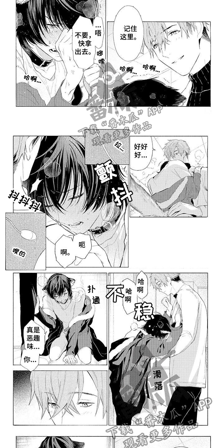 《服从吧狼少年》漫画最新章节第10章：遛狗免费下拉式在线观看章节第【3】张图片