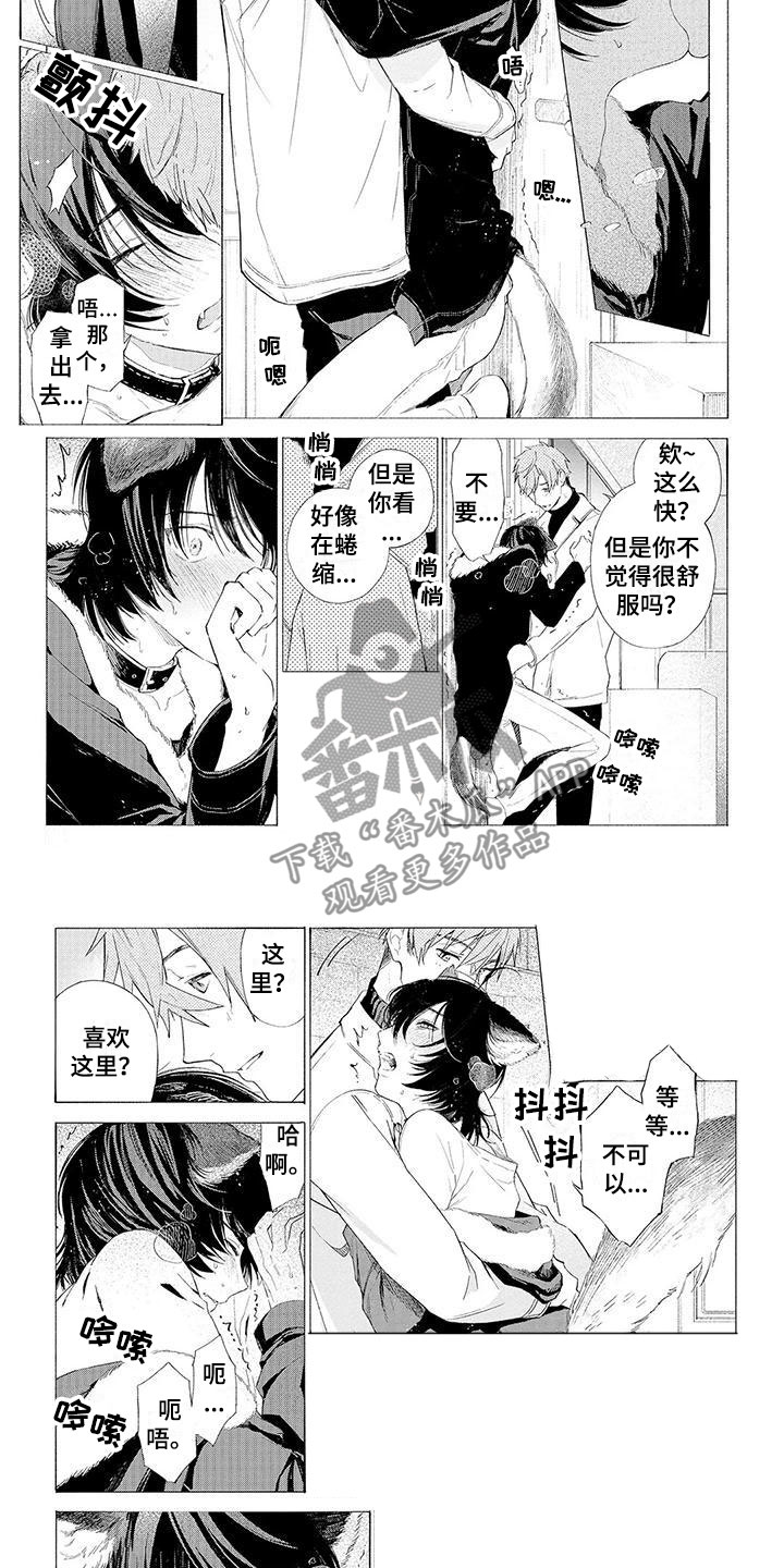 《服从吧狼少年》漫画最新章节第10章：遛狗免费下拉式在线观看章节第【4】张图片