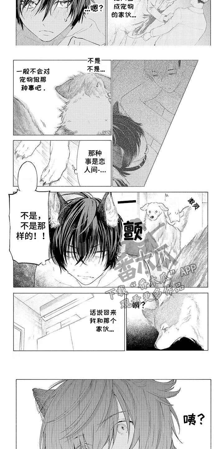 《服从吧狼少年》漫画最新章节第11章：心跳加速免费下拉式在线观看章节第【5】张图片