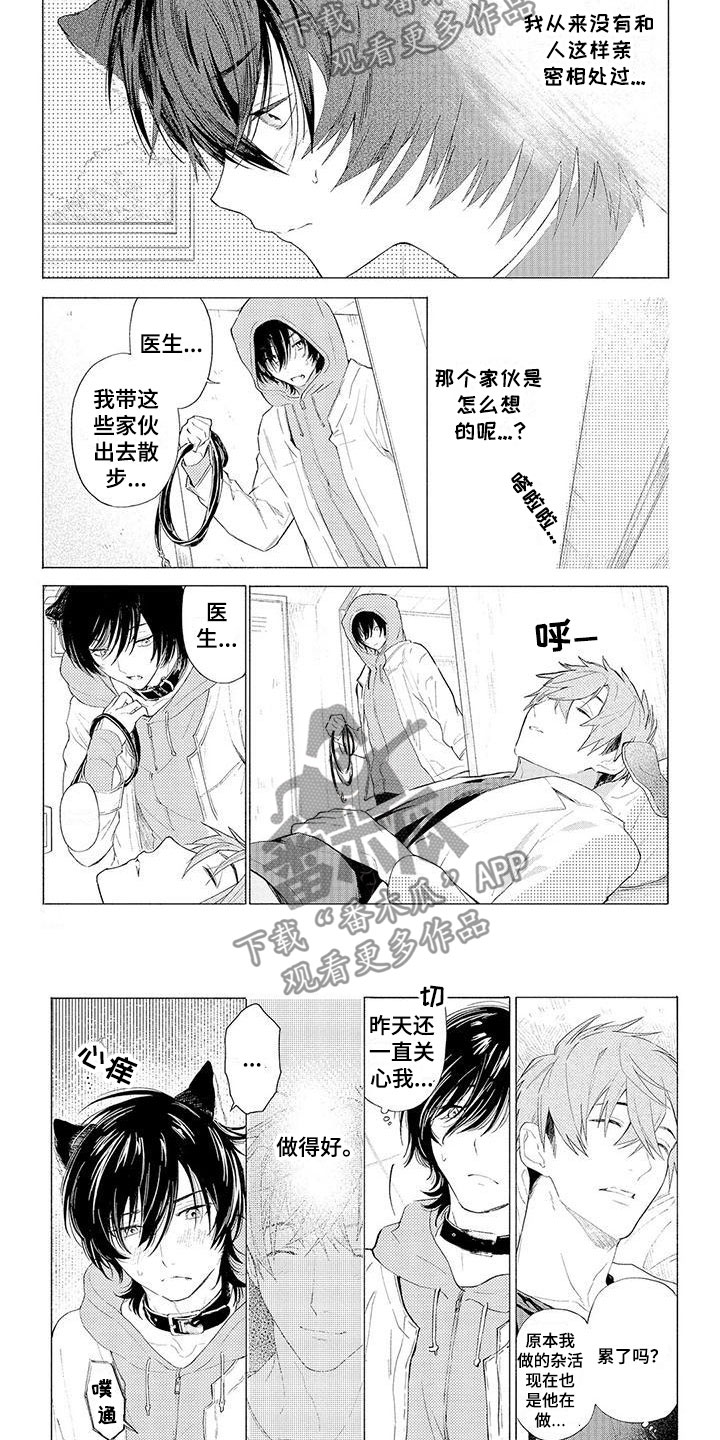 《服从吧狼少年》漫画最新章节第11章：心跳加速免费下拉式在线观看章节第【2】张图片