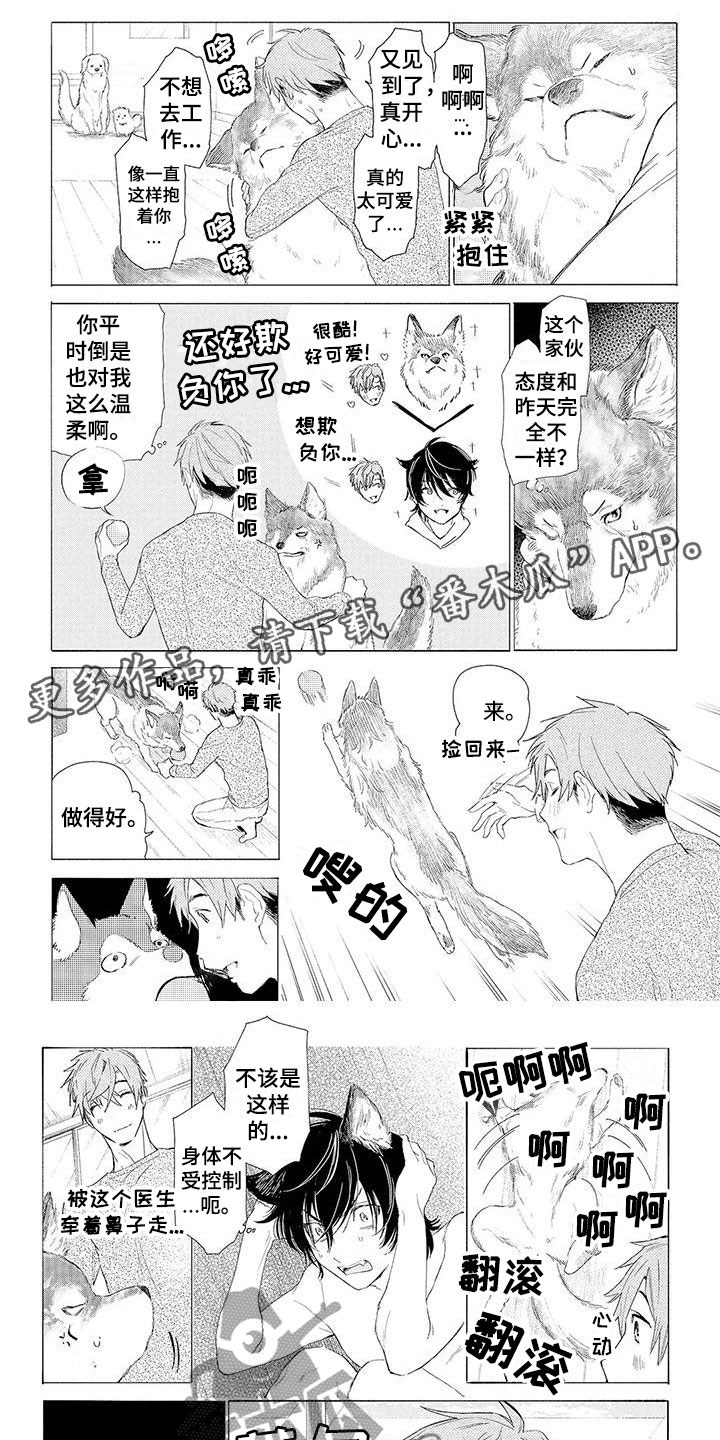 《服从吧狼少年》漫画最新章节第11章：心跳加速免费下拉式在线观看章节第【7】张图片