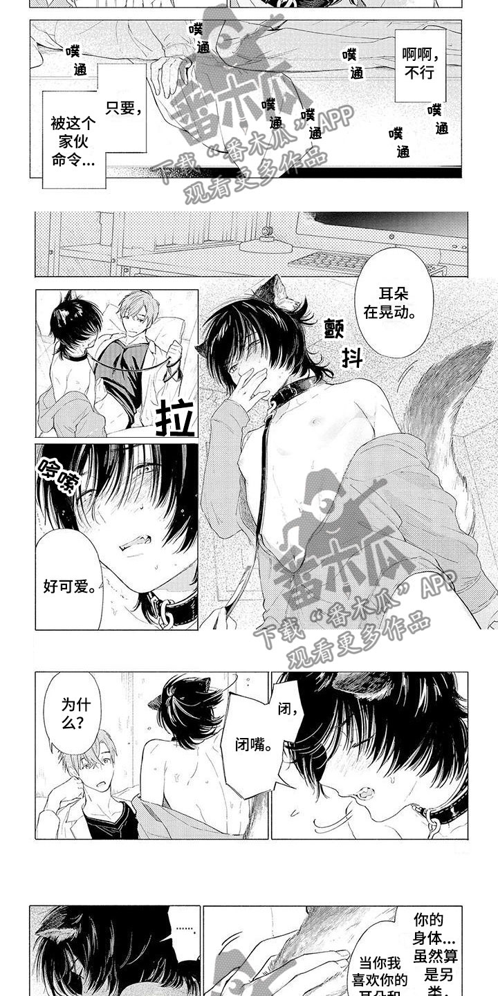 《服从吧狼少年》漫画最新章节第12章：突变免费下拉式在线观看章节第【4】张图片