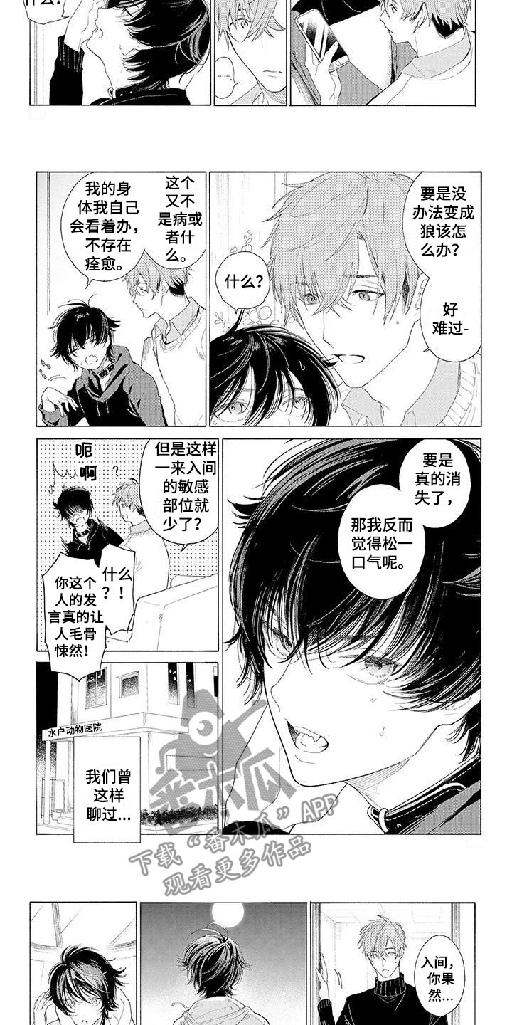 《服从吧狼少年》漫画最新章节第13章：住下的理由免费下拉式在线观看章节第【7】张图片