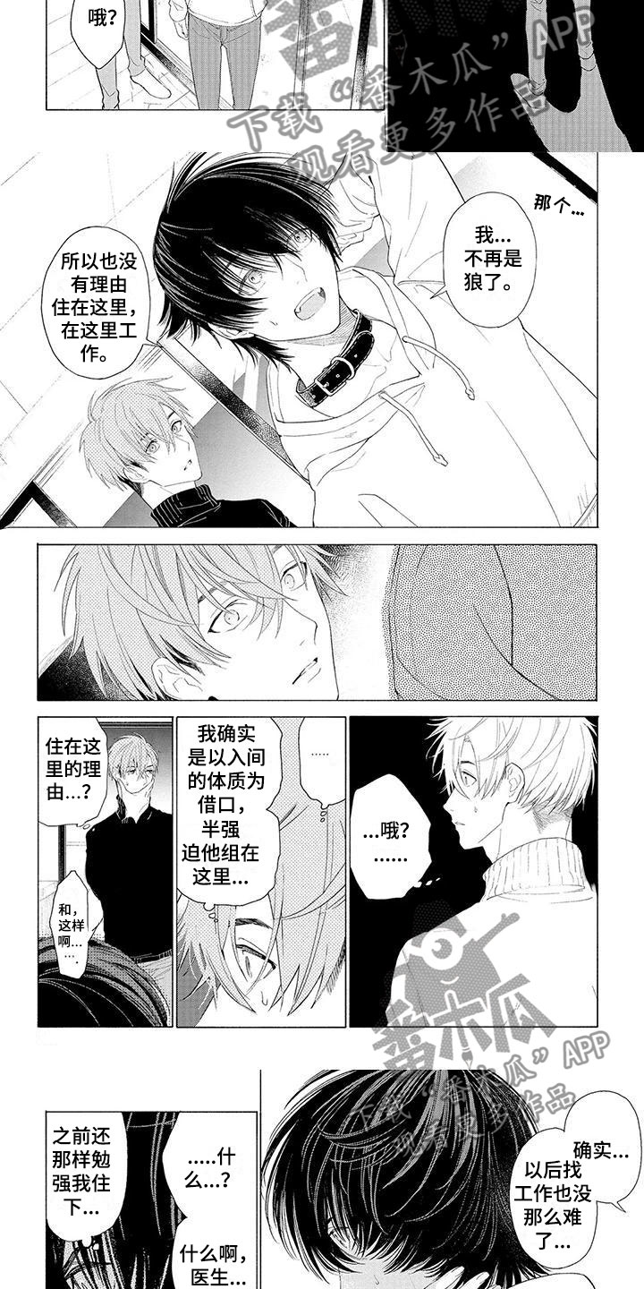 《服从吧狼少年》漫画最新章节第13章：住下的理由免费下拉式在线观看章节第【2】张图片