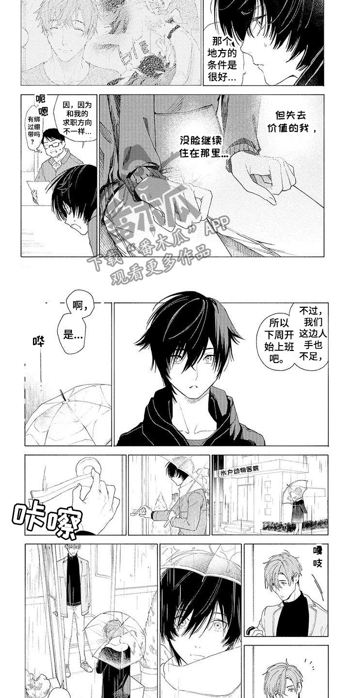 《服从吧狼少年》漫画最新章节第14章：他的决定免费下拉式在线观看章节第【2】张图片