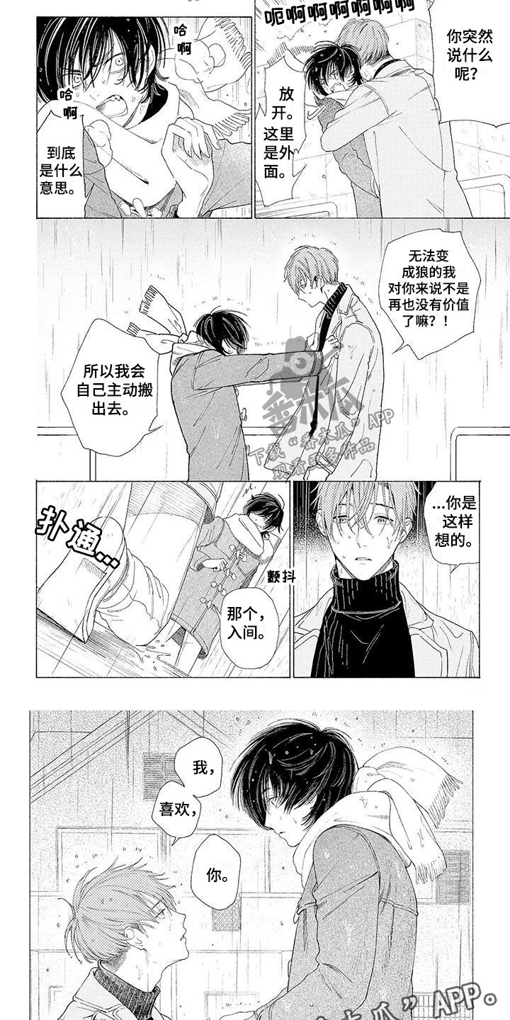 《服从吧狼少年》漫画最新章节第15章：我喜欢你免费下拉式在线观看章节第【2】张图片