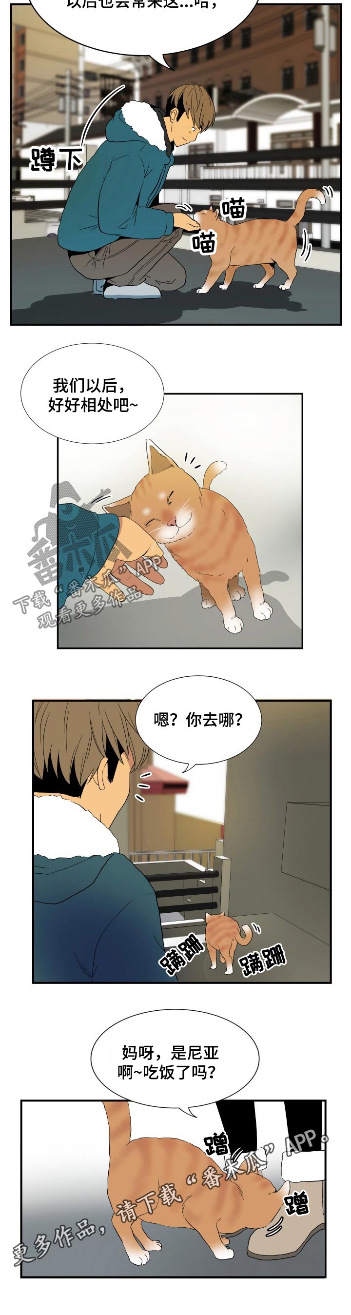 《不同视角》漫画最新章节第26章：猫咪免费下拉式在线观看章节第【1】张图片