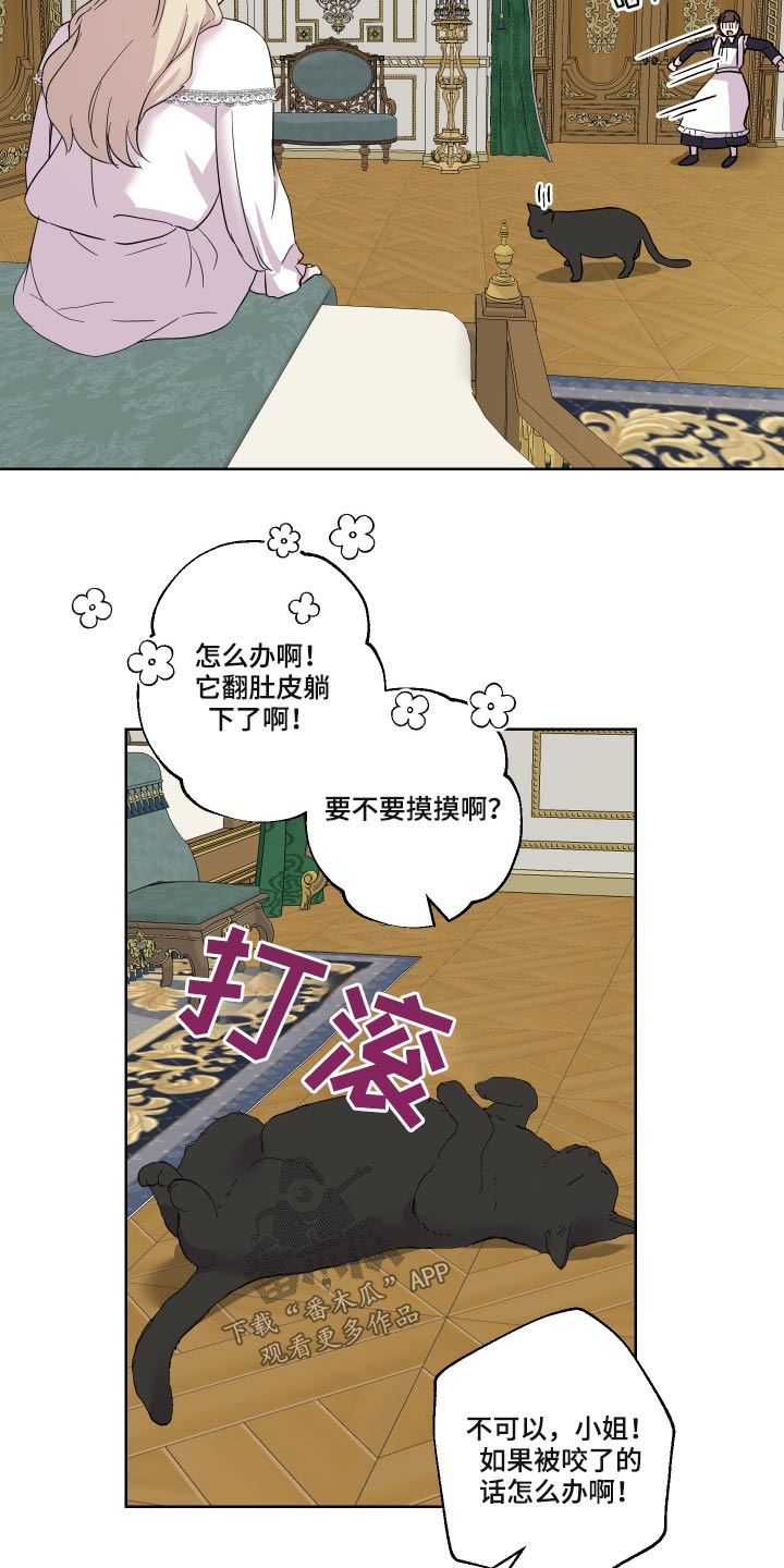 《艾丽莎的日记》漫画最新章节第29章：猫咪免费下拉式在线观看章节第【5】张图片