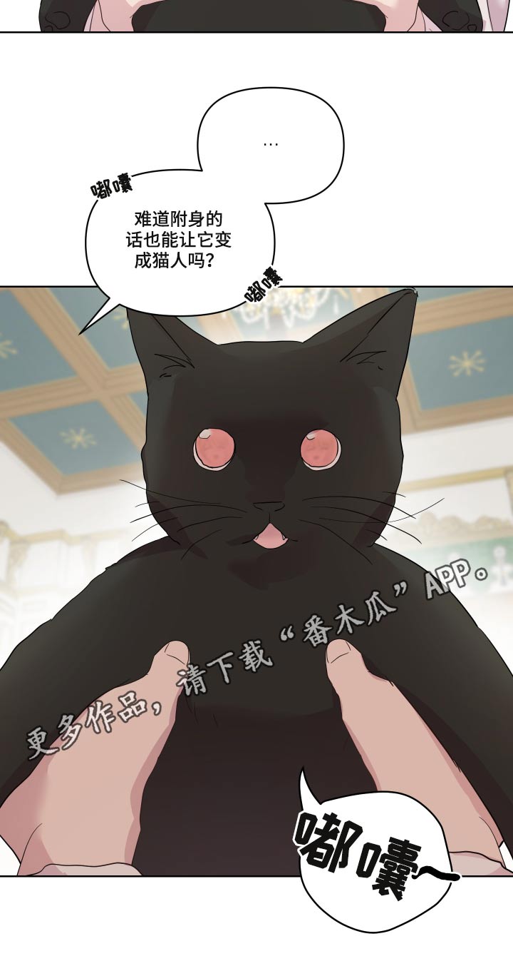 《艾丽莎的日记》漫画最新章节第29章：猫咪免费下拉式在线观看章节第【1】张图片