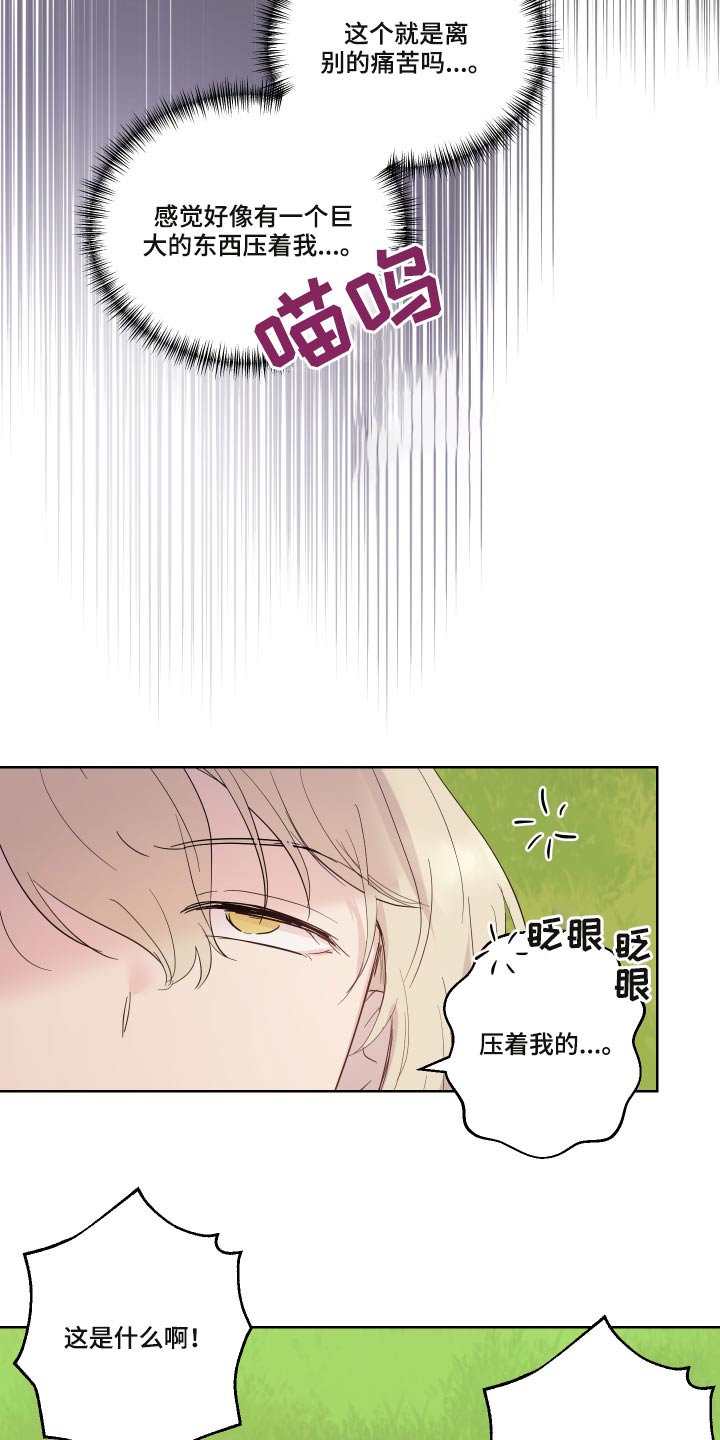 《艾丽莎的日记》漫画最新章节第29章：猫咪免费下拉式在线观看章节第【12】张图片