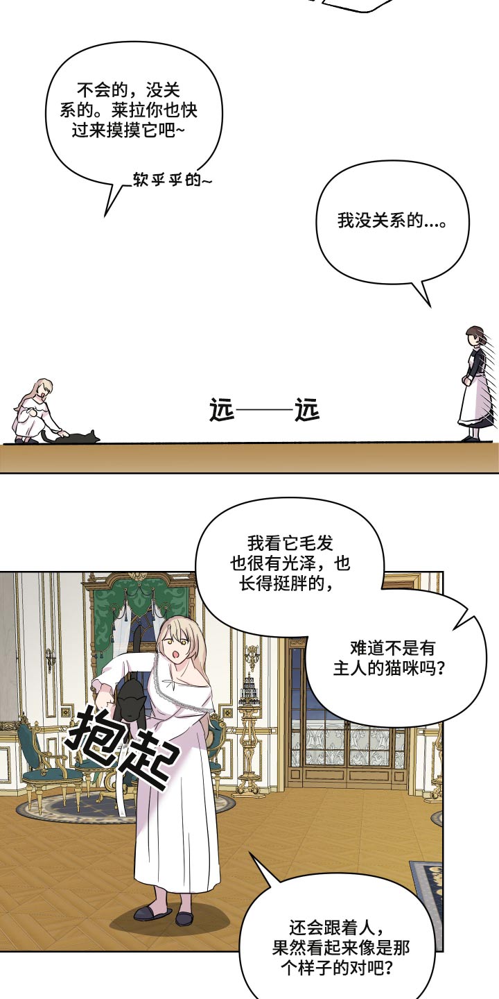 《艾丽莎的日记》漫画最新章节第29章：猫咪免费下拉式在线观看章节第【4】张图片