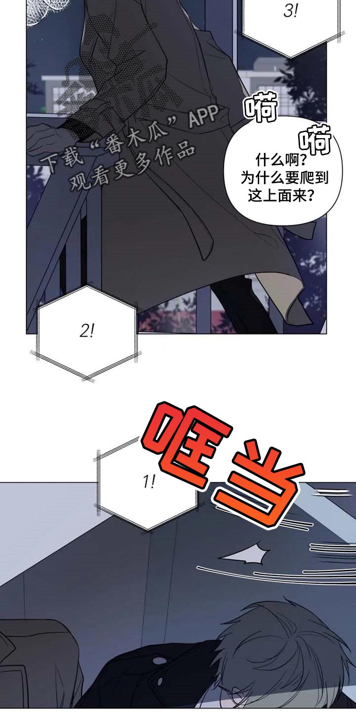 《小小恋人》漫画最新章节第52章：烟花免费下拉式在线观看章节第【7】张图片