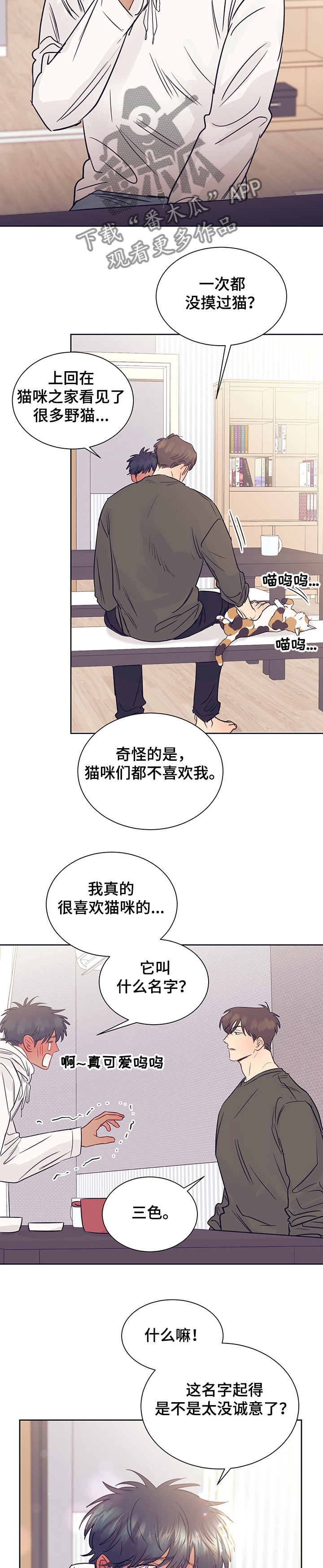 《直到遇见你》漫画最新章节第38章：被猫抓了免费下拉式在线观看章节第【9】张图片