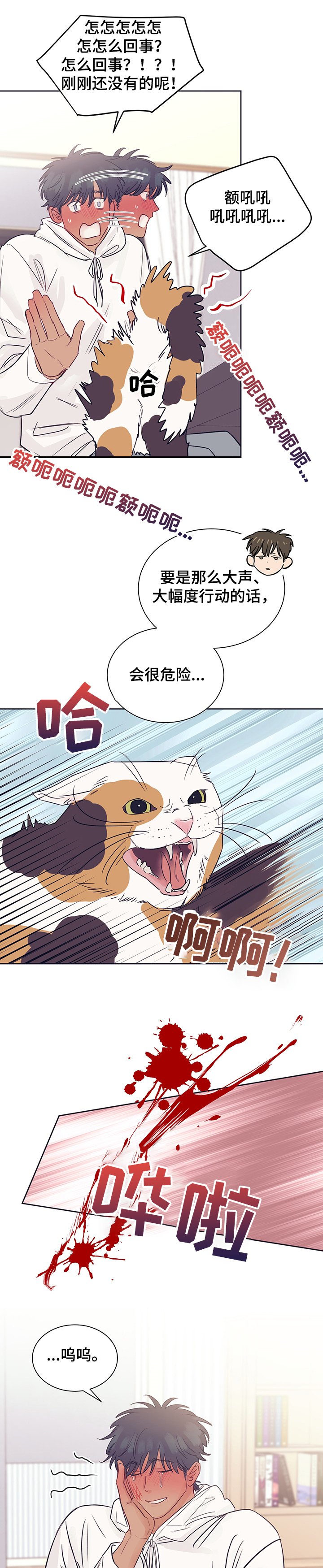 《直到遇见你》漫画最新章节第38章：被猫抓了免费下拉式在线观看章节第【10】张图片