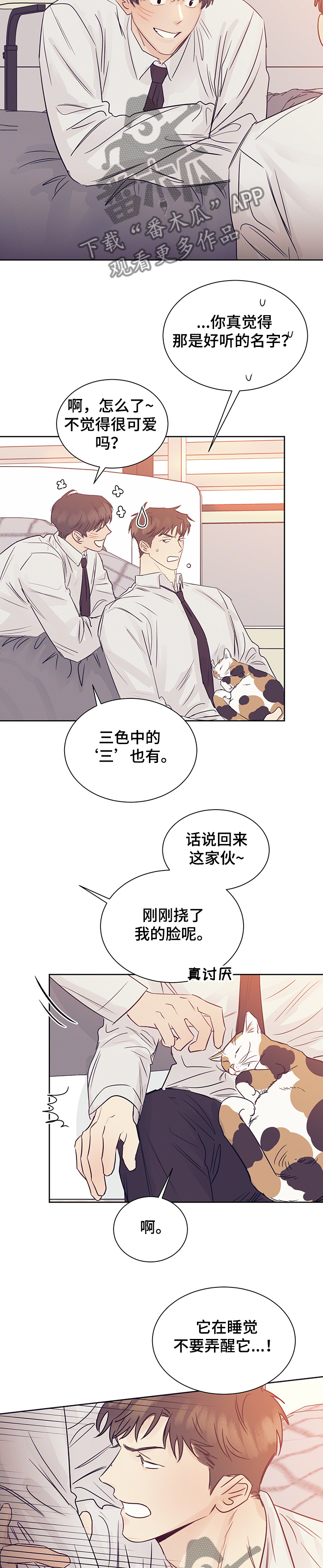 《直到遇见你》漫画最新章节第38章：被猫抓了免费下拉式在线观看章节第【7】张图片