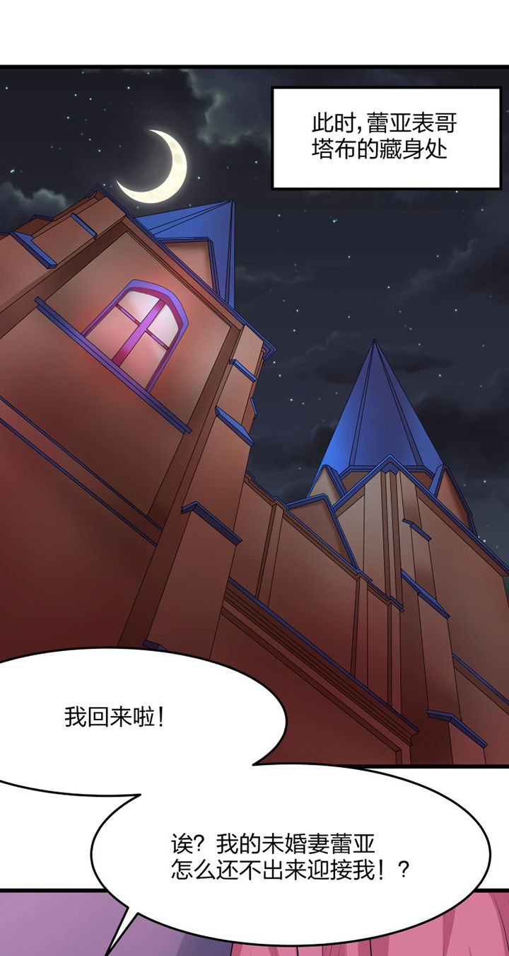 《我的恶魔新娘》漫画最新章节第17章：免费下拉式在线观看章节第【4】张图片