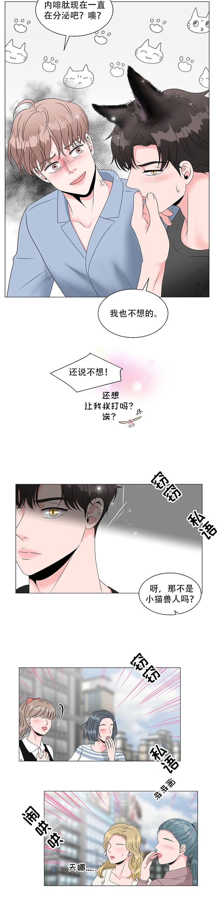 《猫猫初体验》漫画最新章节第2章：引人注目免费下拉式在线观看章节第【1】张图片