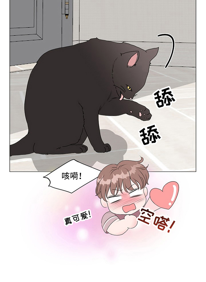 《猫猫初体验》漫画最新章节第8章：完全体免费下拉式在线观看章节第【4】张图片