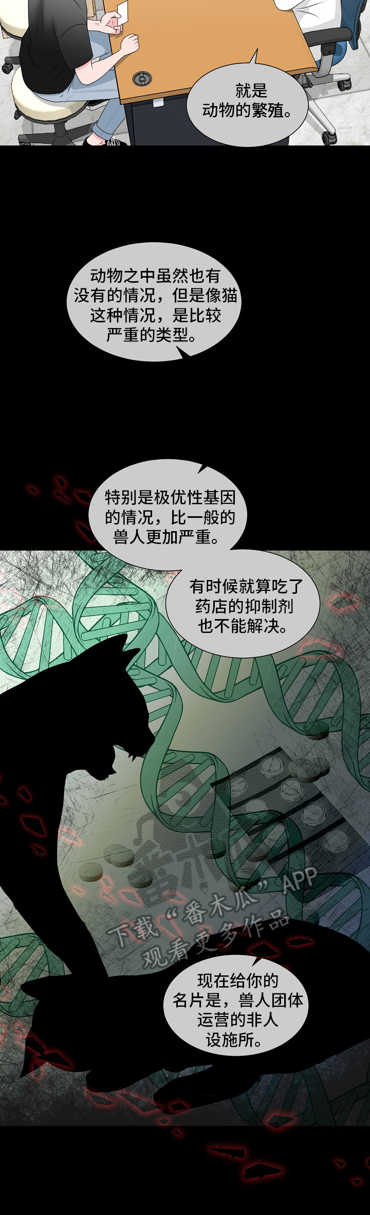 《猫猫初体验》漫画最新章节第15章：发作免费下拉式在线观看章节第【5】张图片