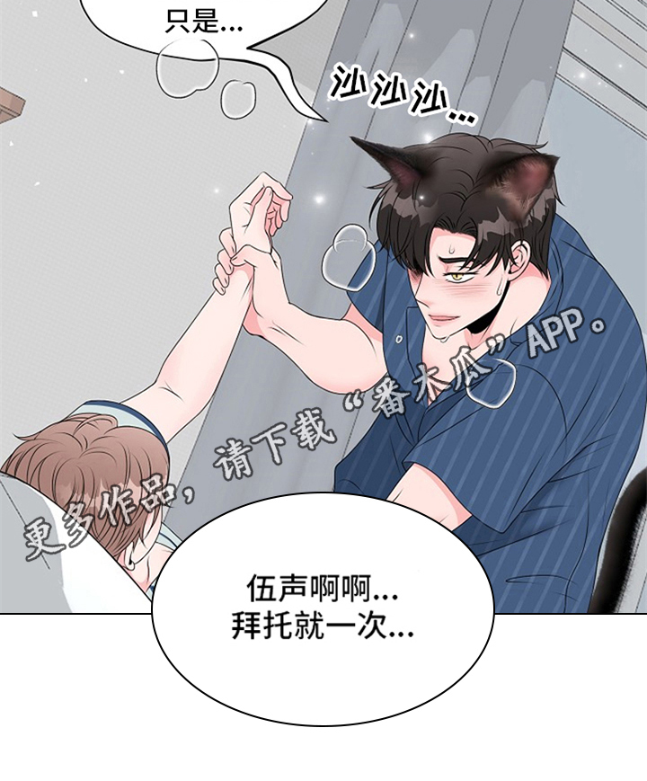 《猫猫初体验》漫画最新章节第16章：拜托免费下拉式在线观看章节第【1】张图片