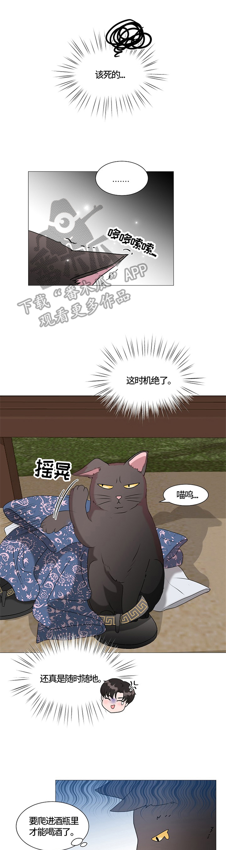 《猫猫初体验》漫画最新章节第26章：猫咪丢失免费下拉式在线观看章节第【5】张图片