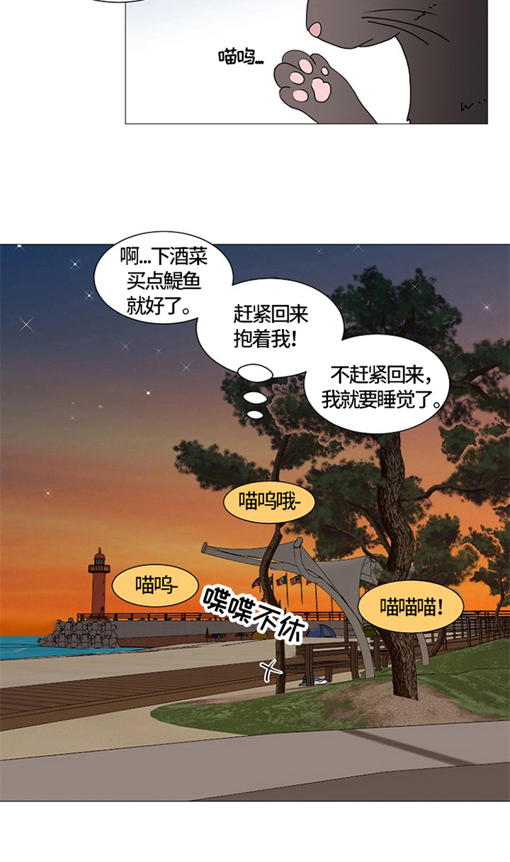 《猫猫初体验》漫画最新章节第26章：猫咪丢失免费下拉式在线观看章节第【4】张图片