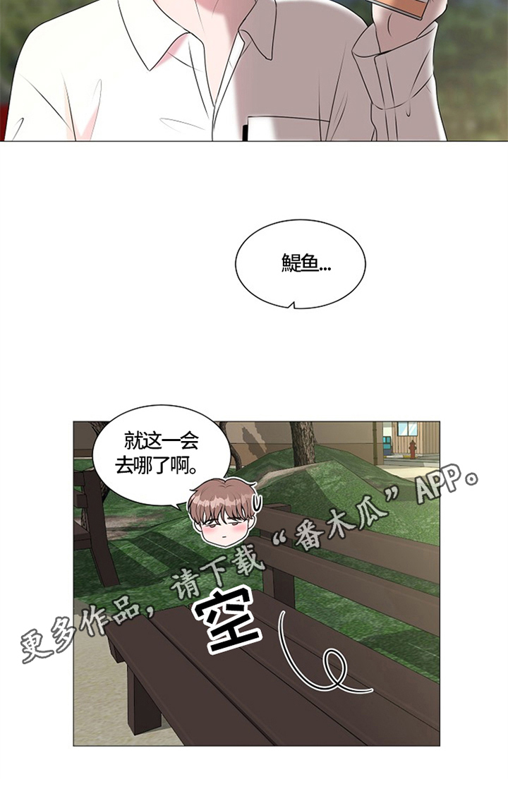 《猫猫初体验》漫画最新章节第26章：猫咪丢失免费下拉式在线观看章节第【1】张图片